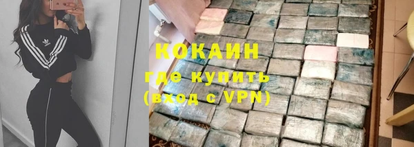 mdpv Богородск