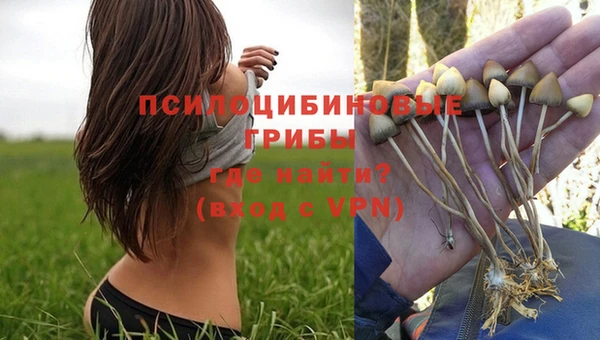 марки nbome Богородицк