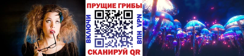 Псилоцибиновые грибы прущие грибы  Брянск 